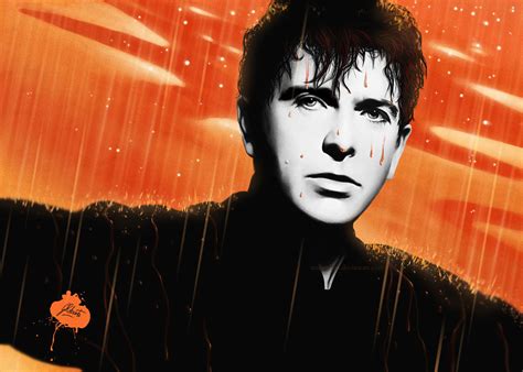 peter gabriel red rain meaning