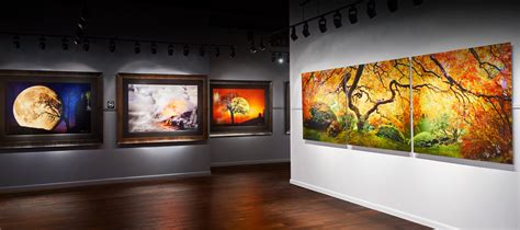 peter lik art gallery