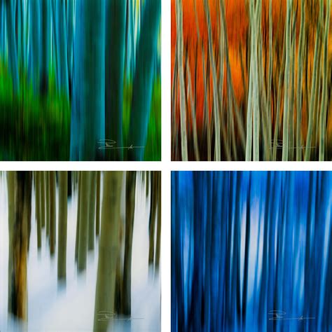 peter lik elements for sale