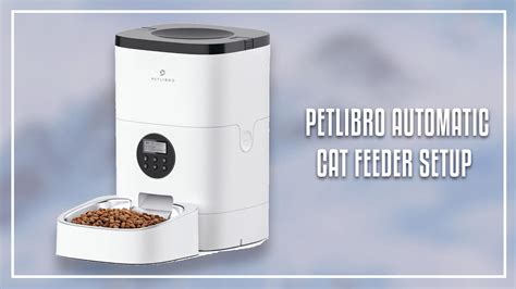 Petlibro Automatic Cat Feeder Setup Expert Best Answer