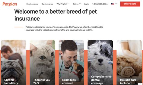 Petplan Insurance Review Is It The Most Comprehensive?
