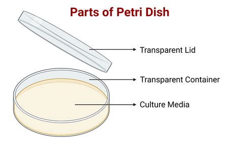 Petri Dish Control Definition