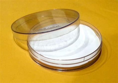 petri dish filter paper