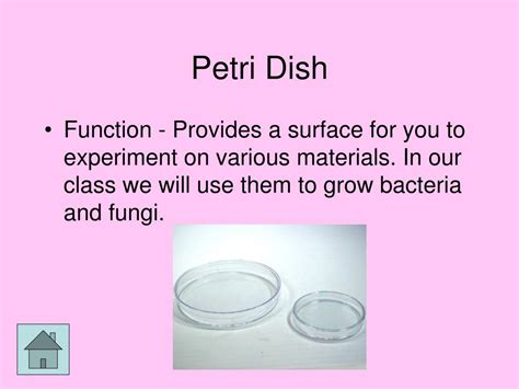 Petri Dish Function Chemistry