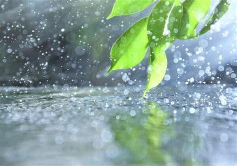 petrichor definition and usage