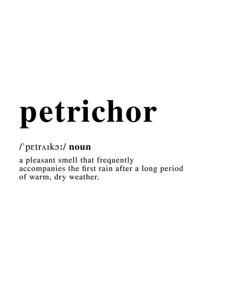 petrichor definition dictionary