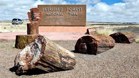 petrified forest national park facebook