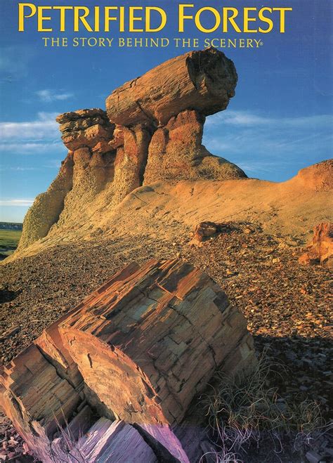 petrified forest the story behind the scenery
