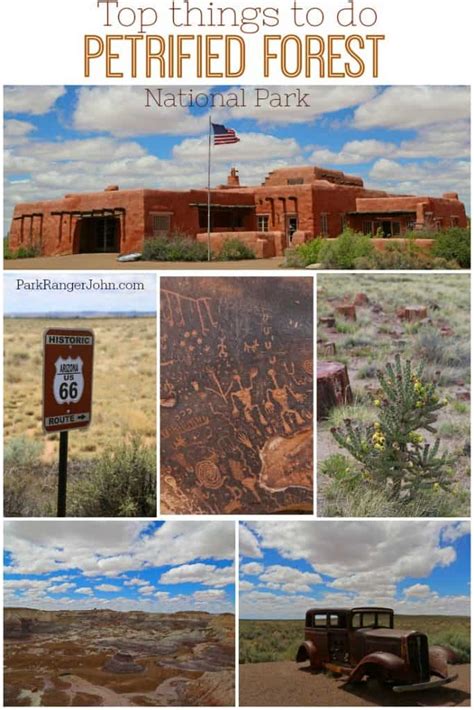 petrified forest things to do