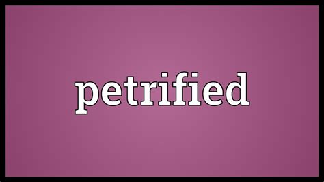 petrified meaning in tagalog