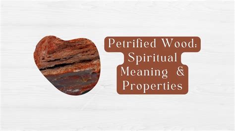 petrified wood spiritual meaning
