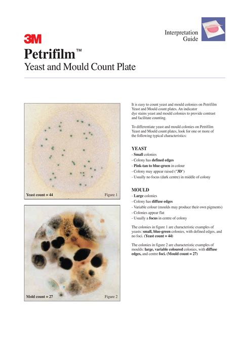 petrifilm yeast and mold