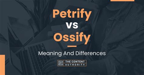 petrify meaning in english