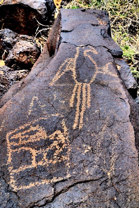 petroglyph in new mexico