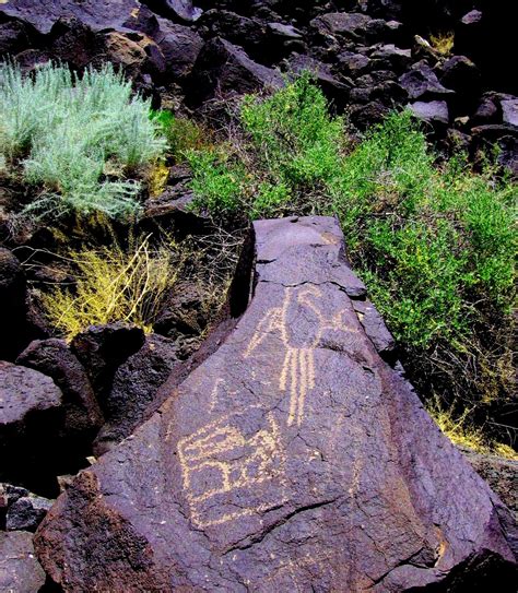 petroglyph state park new mexico