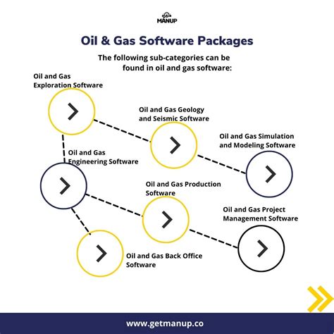 petroleum software systems