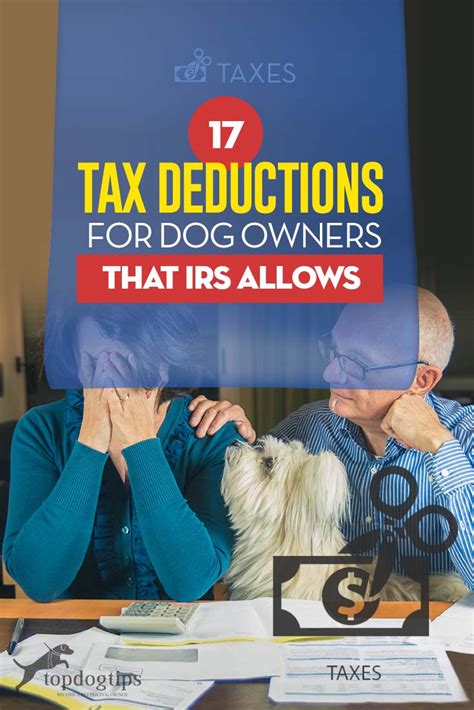 Pets As Dependents On Taxes