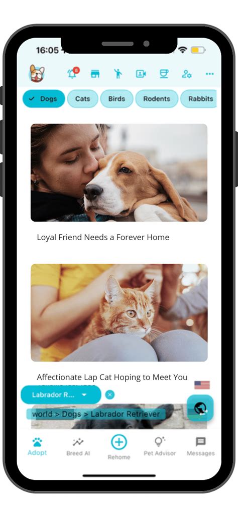 Pets At Home Online Code