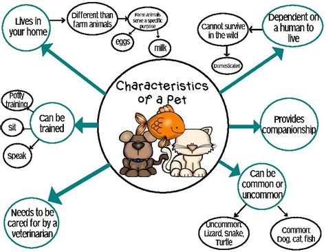 pets characteristics