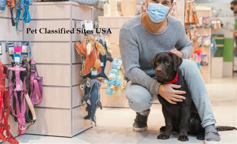 pets classifieds in usa