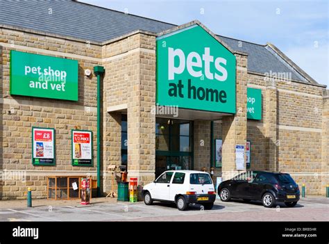 pets for homes huddersfield