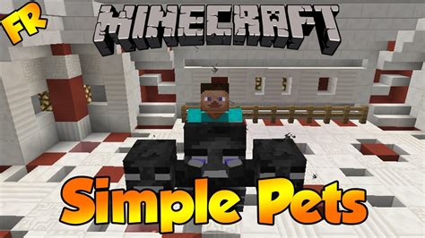 Pets Plugin Minecraft Spigot