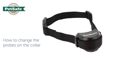 Petsafe Collar Programming