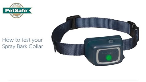 Petsafe Collar Test