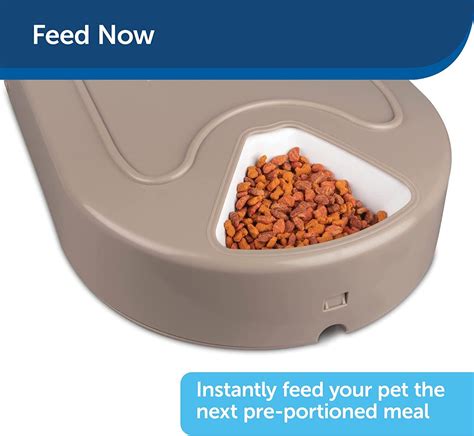 Petsafe Food Timer