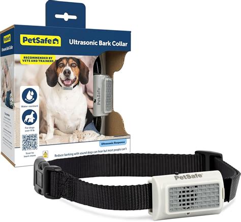 Petsafe System Beeping