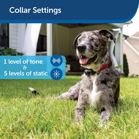 Petsafe Wireless Fence Wattage