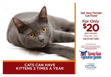 petsmart $20 spay