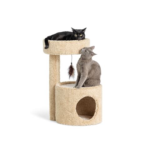 Petsmart Cat Condo