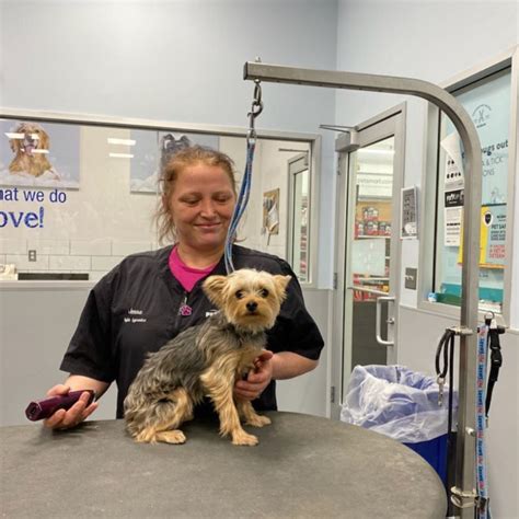 petsmart danville va grooming