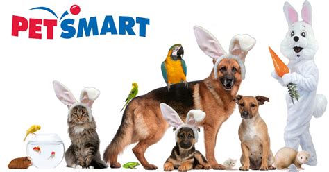 petsmart easter bunny photos 2024