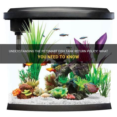 Petsmart Fish Refund