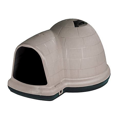 Petsmart Igloo Dog House
