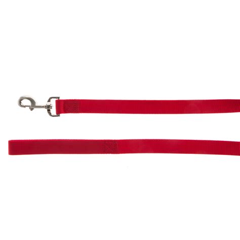 Petsmart Nylon Leash