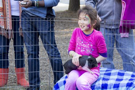 Petting Zoo of Fulton Fall Festival