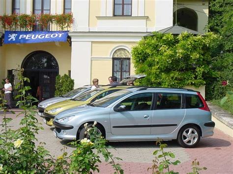 Peugeot 206 GTI SW Sur Adjuger.ch