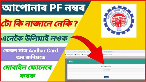 pf number check by aadhar card