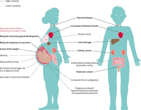 pfas chemical exposure symptoms