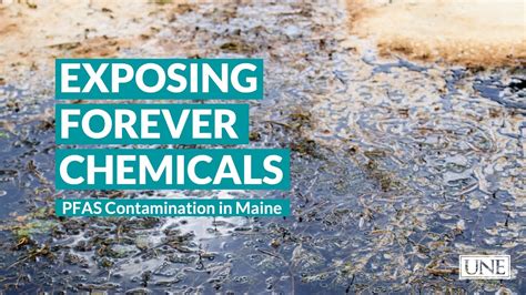 pfas chemicals in maine