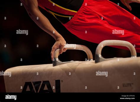 Gymnastikreihe Ingrid Klimke Pferdia TV Pferd, Gymnastik, Reiten