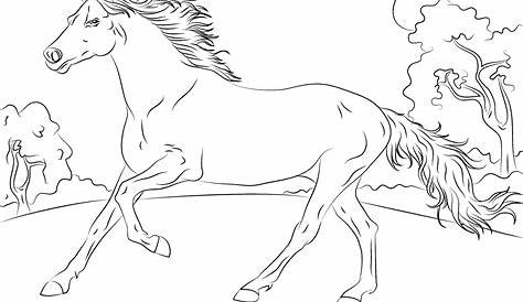 Pferd - Window Color Vorlage zum Ausdrucken | Malvorlagen pferde, Pferd