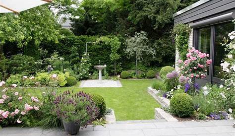 Immergrüne Pflanzen für Garten und Terrasse - DAS HAUS