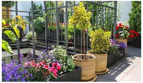 Pflanzen für moderne Gärten - Living Garden - Gartengestaltung mit Stil