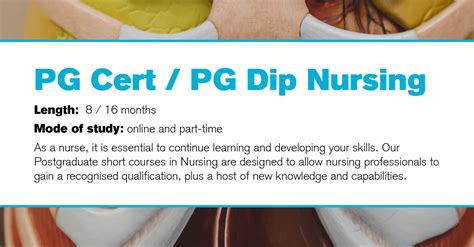 pg cert pg dip