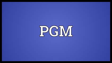 pgm meaning business