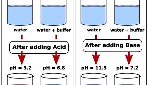 pH of Buffer Solution (Example) YouTube